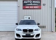 2010 BMW X6