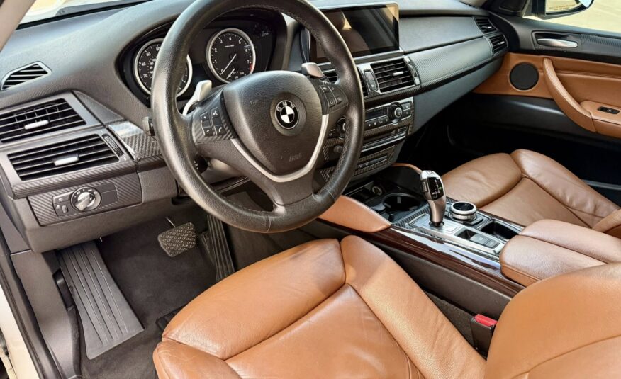 2010 BMW X6